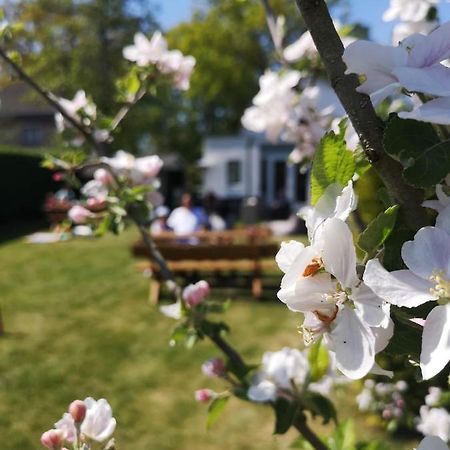 B&B De Koffietuin Бекберґен Екстер'єр фото
